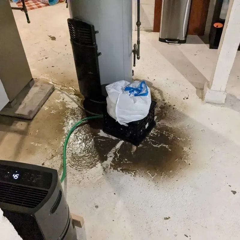 Sewage Backup Cleanup Service in Island Heights, NJ